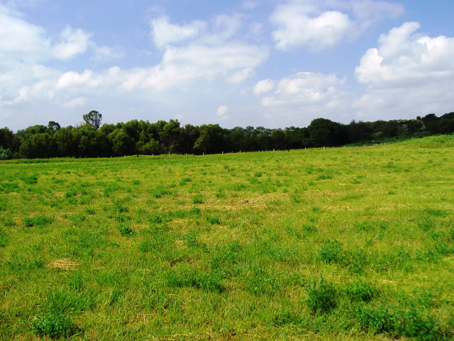 CDR San Miguel Christies Rancho La Milpa