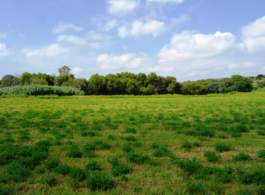 CDR San Miguel Rancho La Milpa