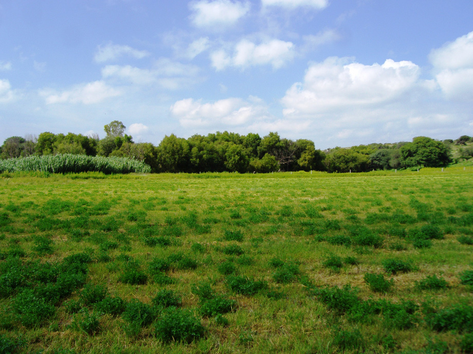 CDR San Miguel Rancho La Milpa