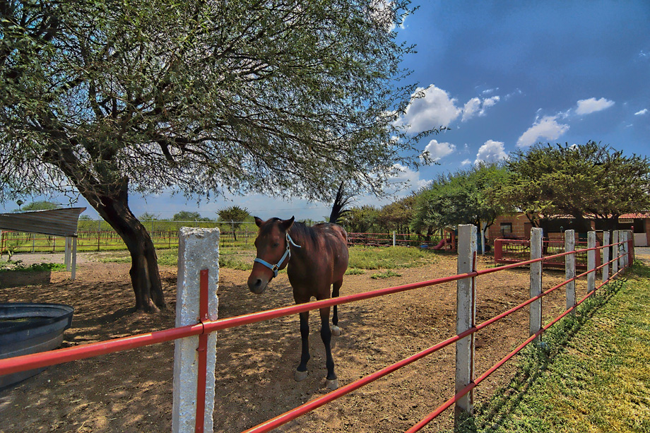 CDR San Miguel Christies Ranchito Mi Sueno