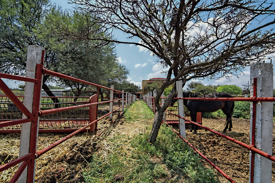 CDR San Miguel Christies Ranchito Mi Sueno