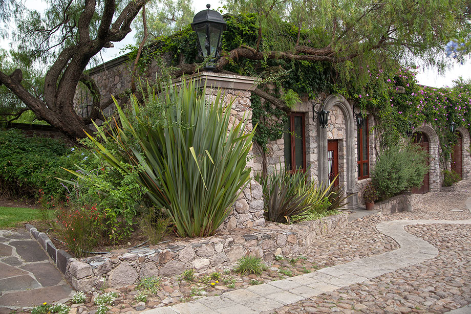 CDR San Miguel Christies Hacienda Purisima de Jalpa