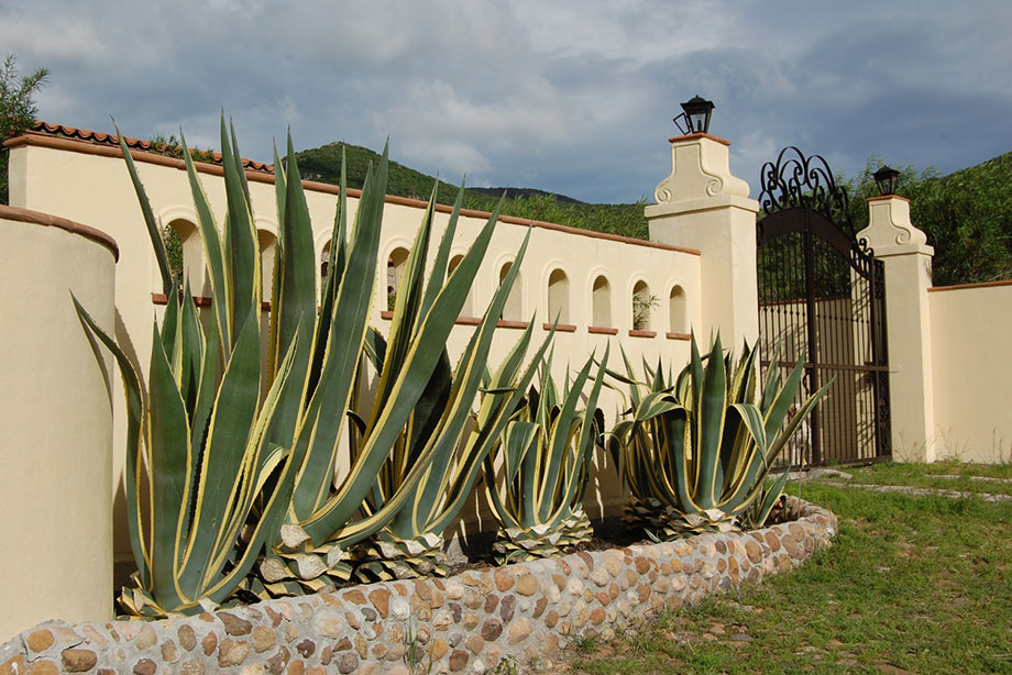 CDR San Miguel Christies Casa de Las Pergolas