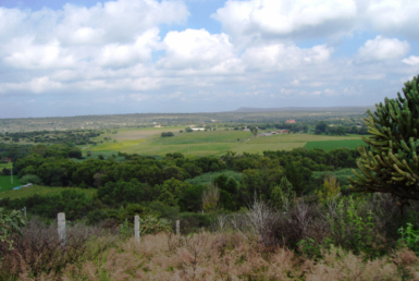 CDR Christie's Rancho Atotonilco