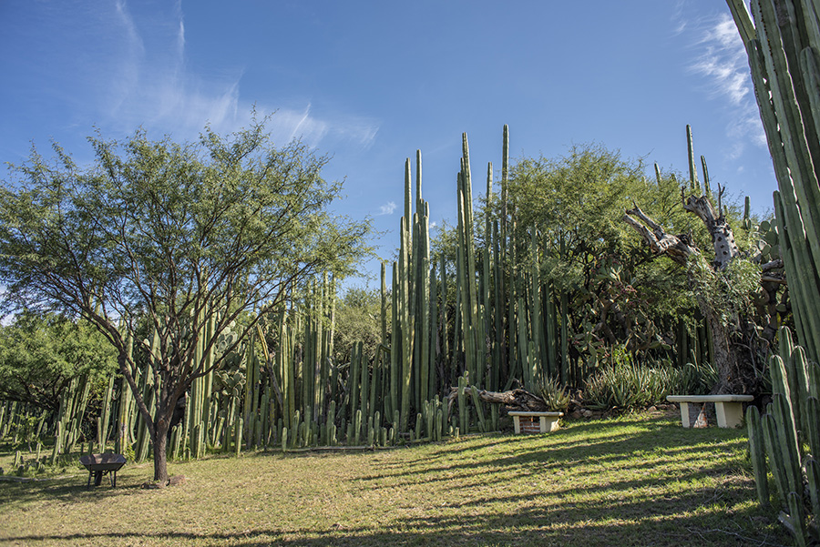 CDR SAN MIGUEL CHRISTIE'S RANCHO LA CANTERA