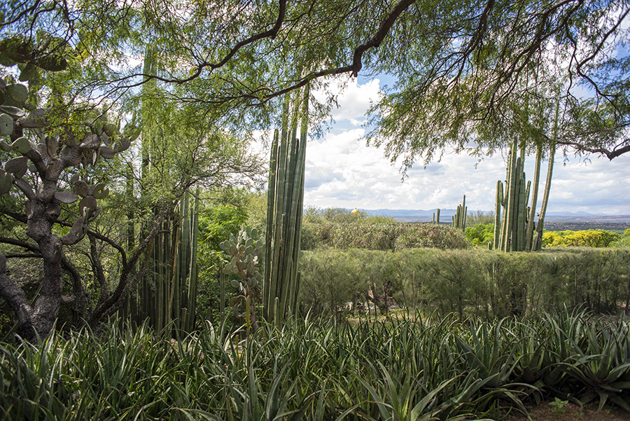 CDR SAN MIGUEL CHRISTIE'S RANCHO LA CANTERA