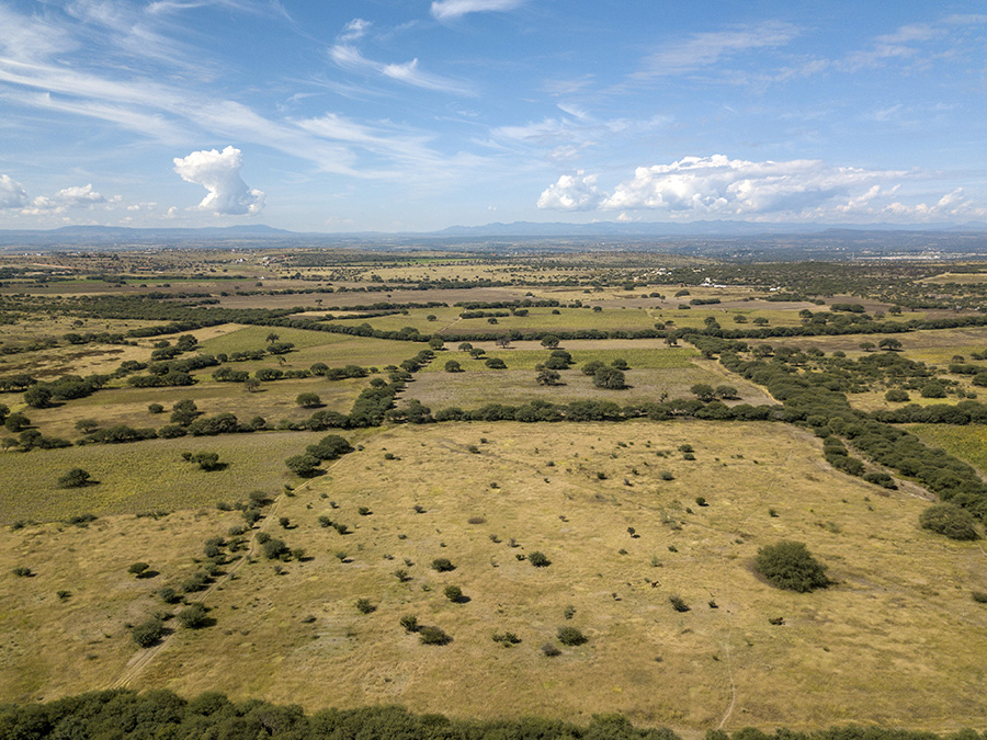 CDR CHRISTIE'S RANCHO LA CANTERA